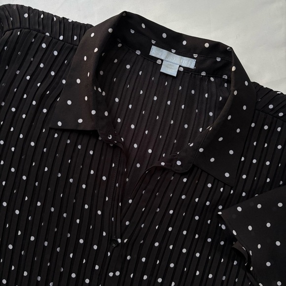 Only Necessities Tops - Only Necessities Polka-Dot Pleated Button Sheer Blouse 1X (22/24)
